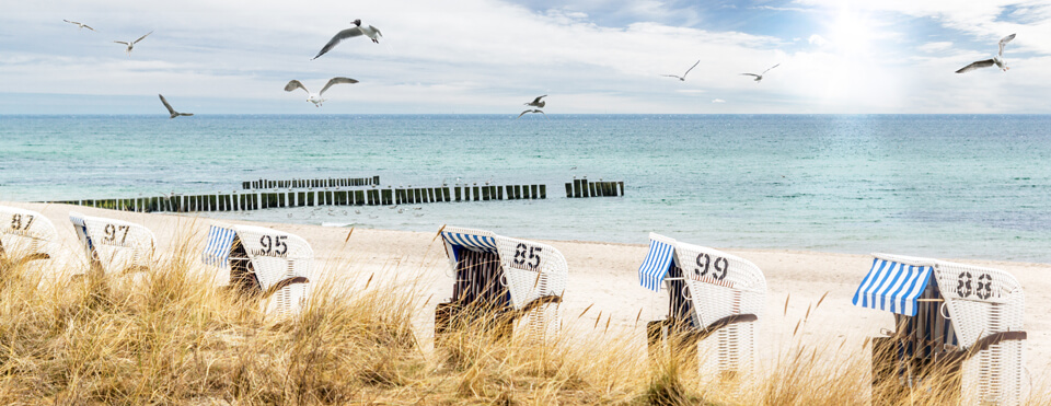 Titelbild - Strandbild mit Strandkörben an der Nordsee
